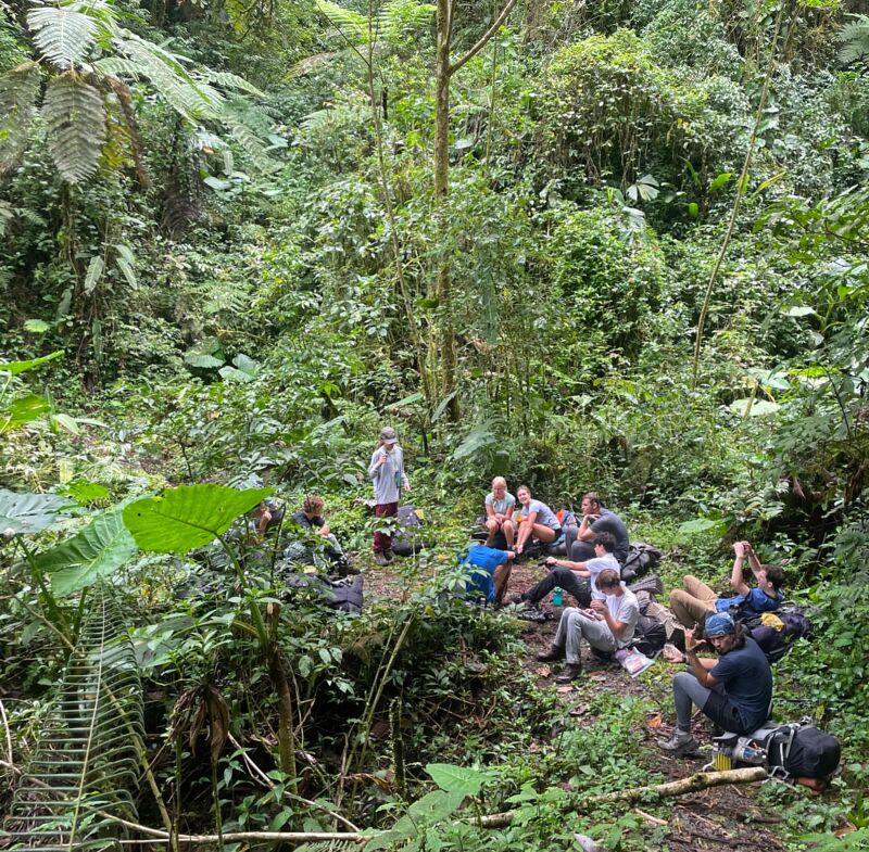 A group of people are resting in a lush, green forest. Some are sitting on logs or the ground, while others are standing. They appear to be taking a break during a hike or expedition, surrounded by dense vegetation and tall trees. Backpacks and gear are scattered around, indicating they are well-equipped for their outdoor adventure.